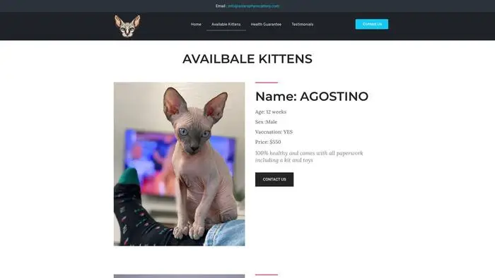 Screenshot of