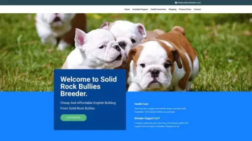 Screenshot of