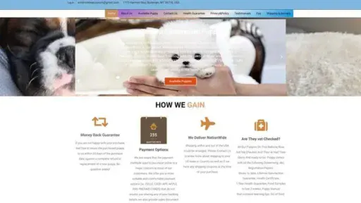 Screenshot of
