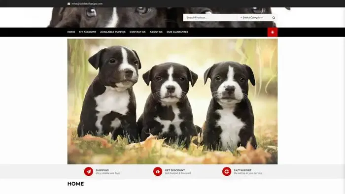 Screenshot of