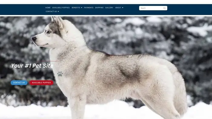 Screenshot of