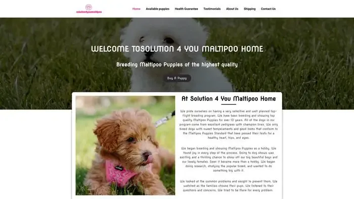 Screenshot of