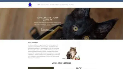 Screenshot of