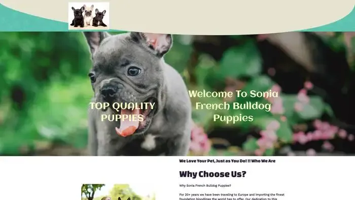 Screenshot of