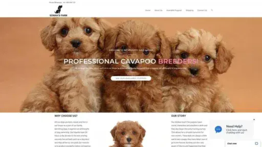 Screenshot of