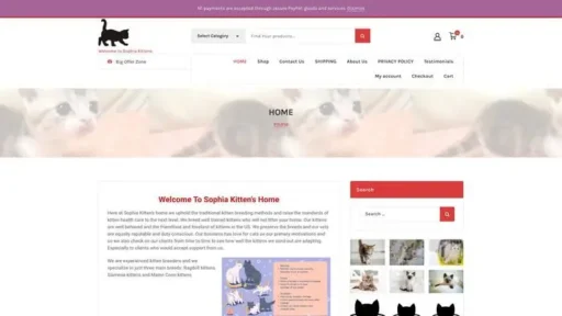 Screenshot of