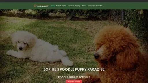 Screenshot of