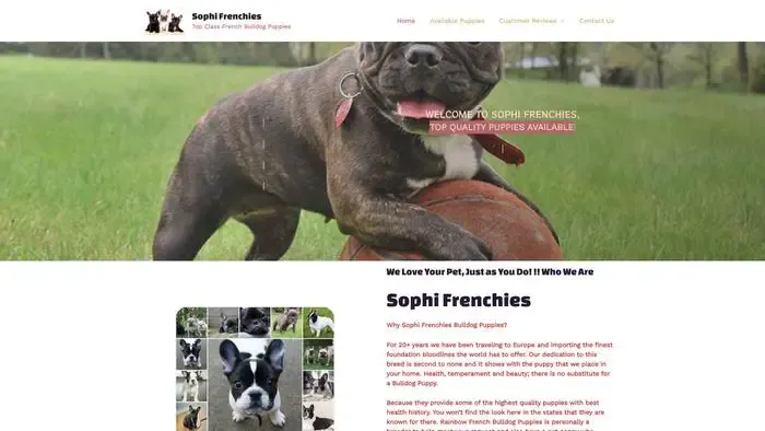 Screenshot of