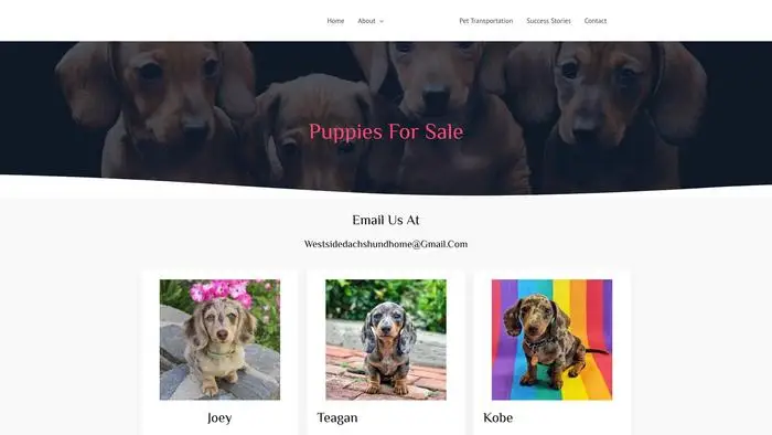Screenshot of