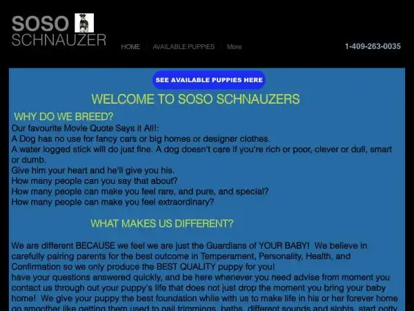 Screenshot of