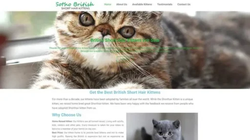 Screenshot of