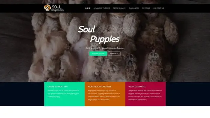 Screenshot of
