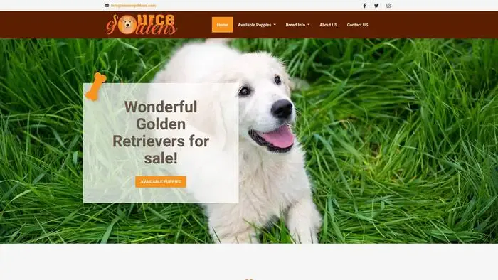Screenshot of