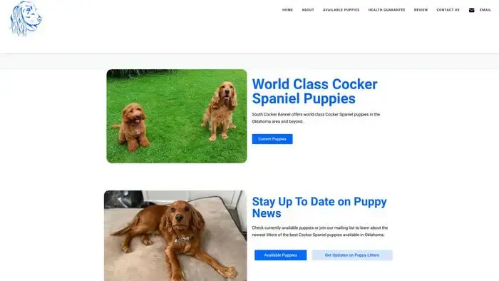 Screenshot of