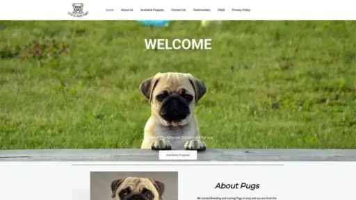 Screenshot of