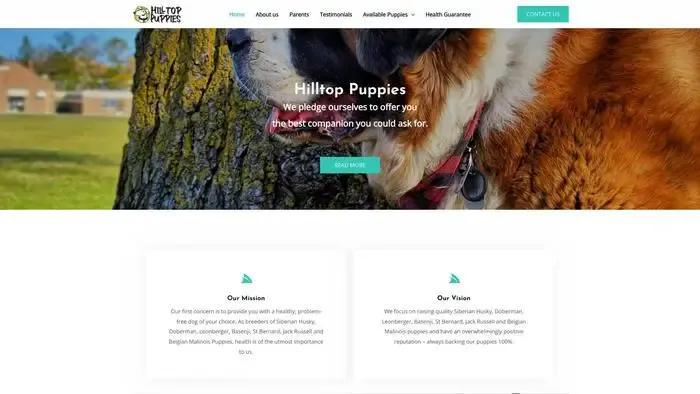 Screenshot of