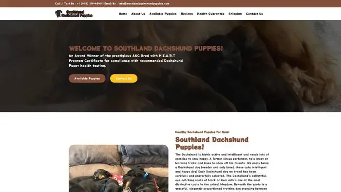 Screenshot of