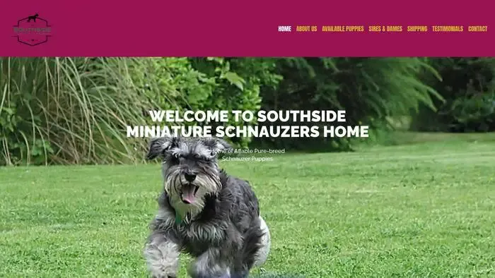 Screenshot of