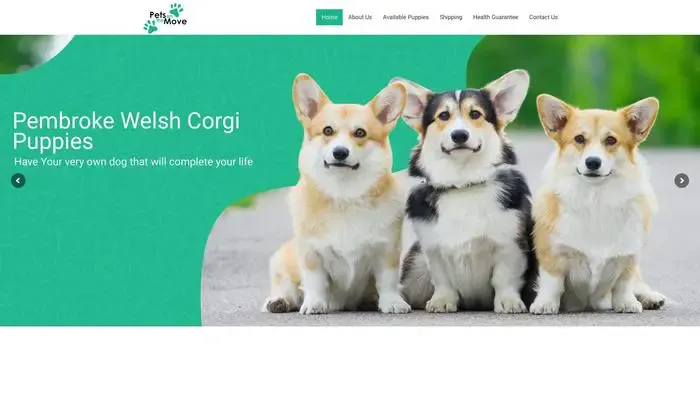 Screenshot of