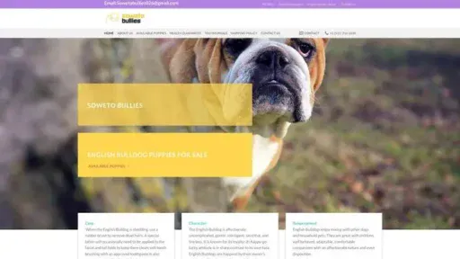 Screenshot of