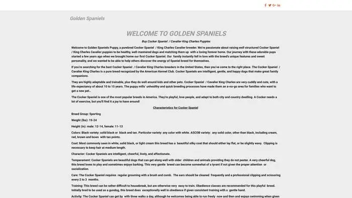 Screenshot of