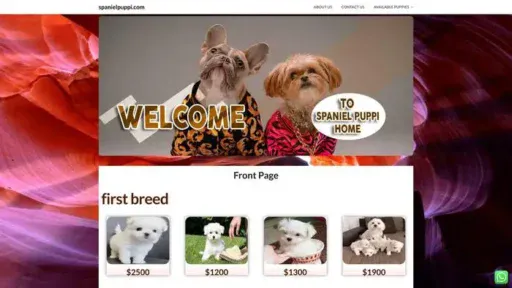 Screenshot of