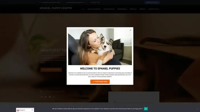 Screenshot of