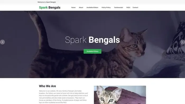 Screenshot of