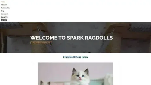 Screenshot of