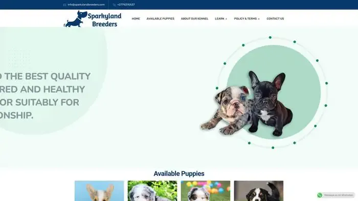 Screenshot of