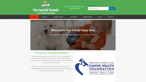Screenshot of
