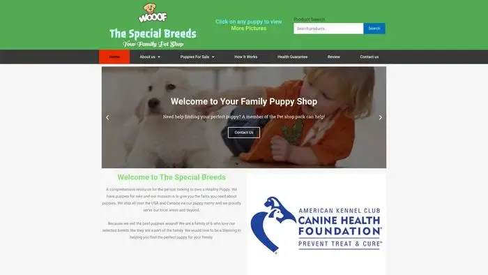 Screenshot of
