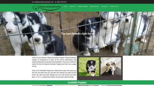 Screenshot of