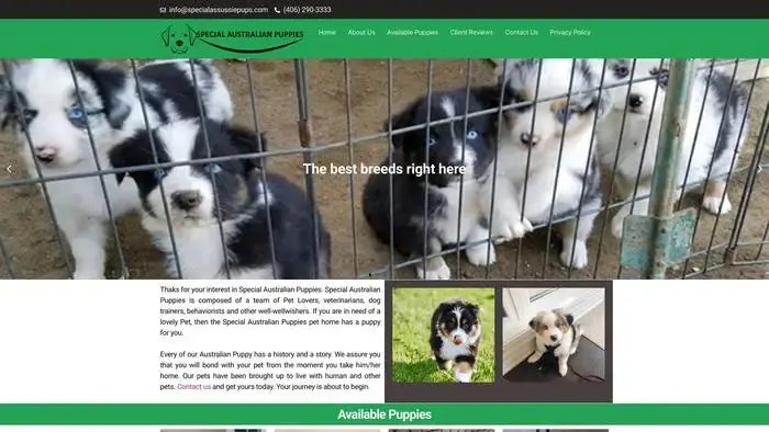 Screenshot of