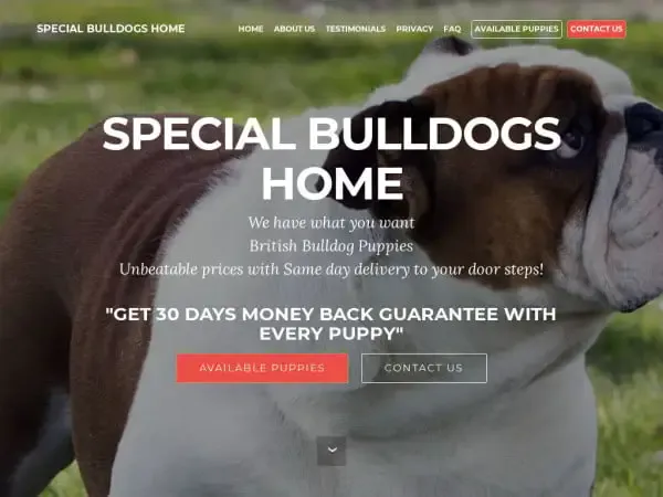 Screenshot of