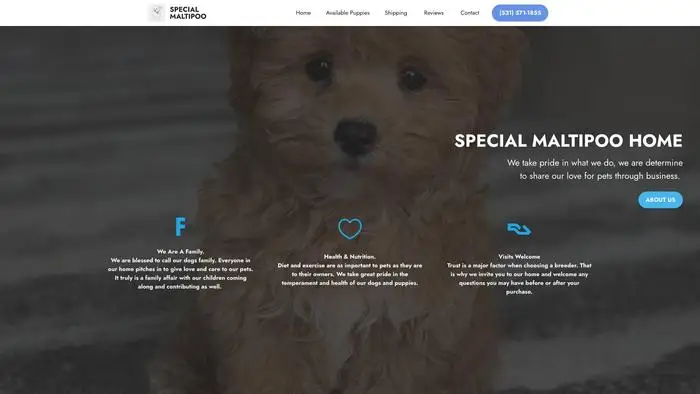 Screenshot of