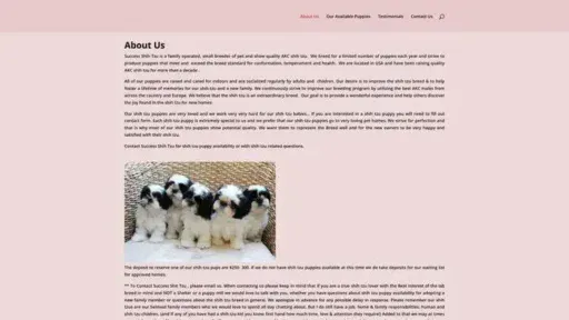 Screenshot of