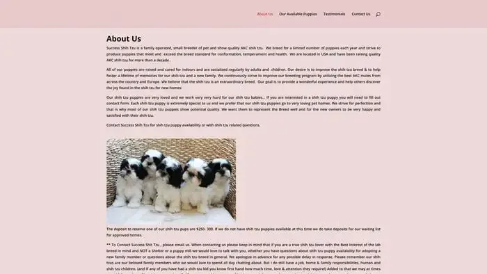Screenshot of