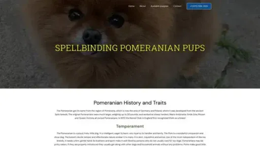 Screenshot of