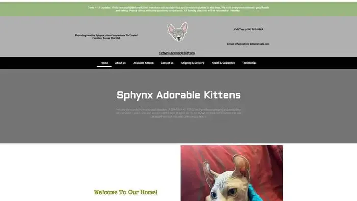 Screenshot of