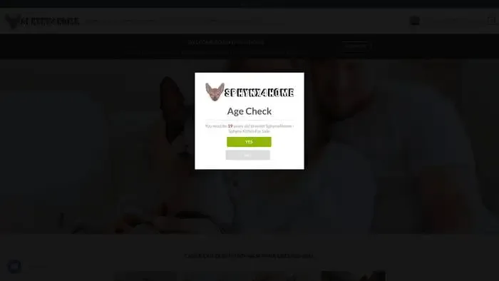 Screenshot of