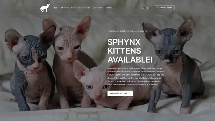 Screenshot of