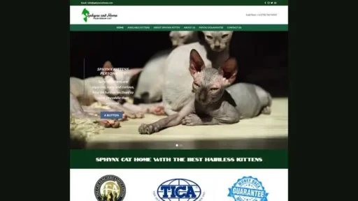 Screenshot of