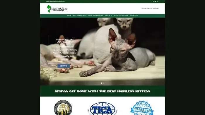 Screenshot of