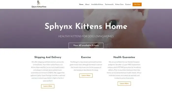 Screenshot of