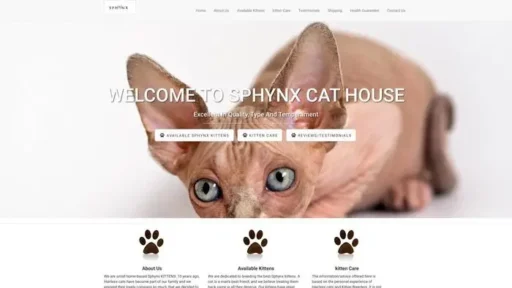 Screenshot of
