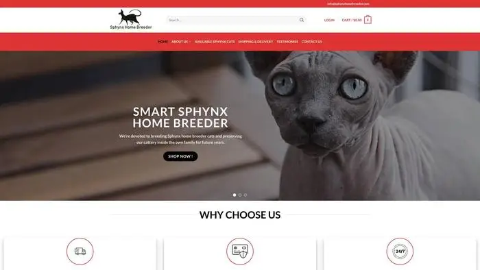 Screenshot of