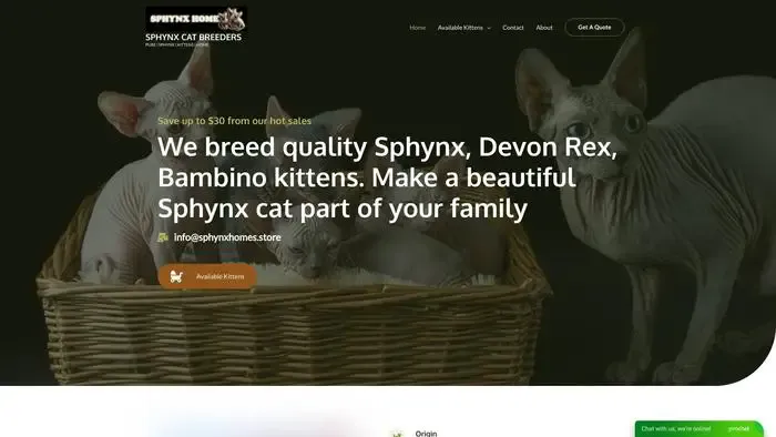 Screenshot of