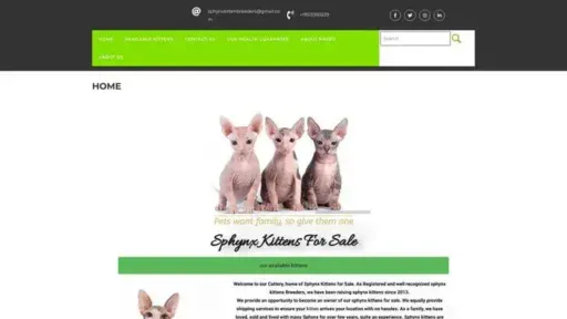 Screenshot of