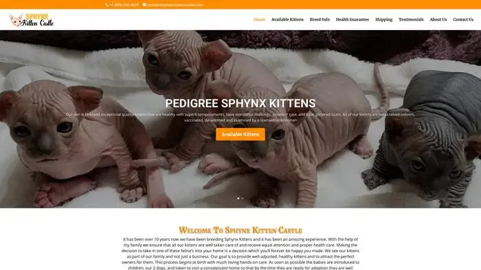 Screenshot of